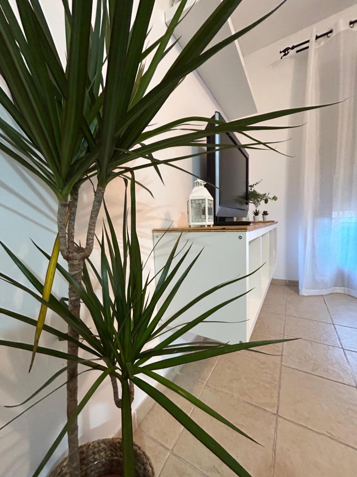 Apartament Rual Amanecer Ronda Zewnętrze zdjęcie